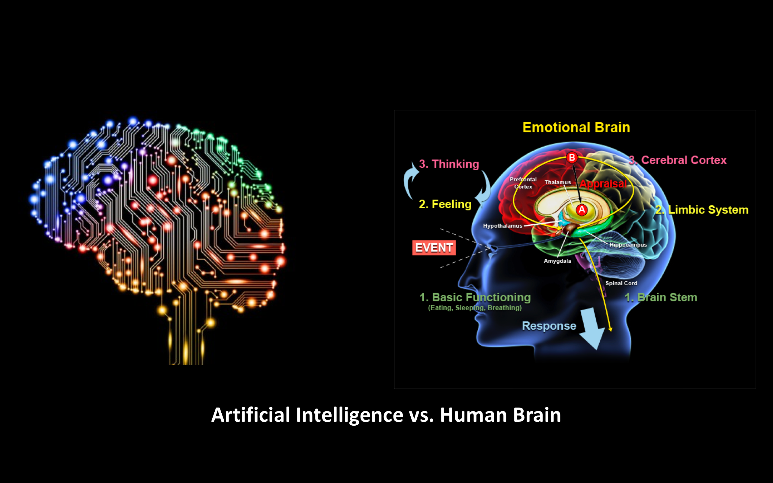 Artificial Intelligence vs. Human Brain